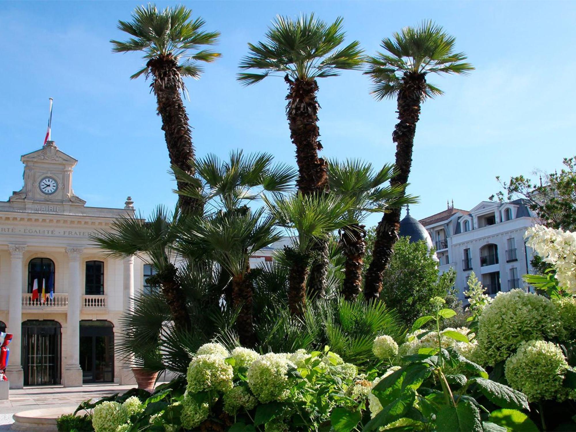 Appartement Proche Plage & Casino Avec Balcon Et Parking Prive, Arcachon - Fr-1-319-110 Εξωτερικό φωτογραφία